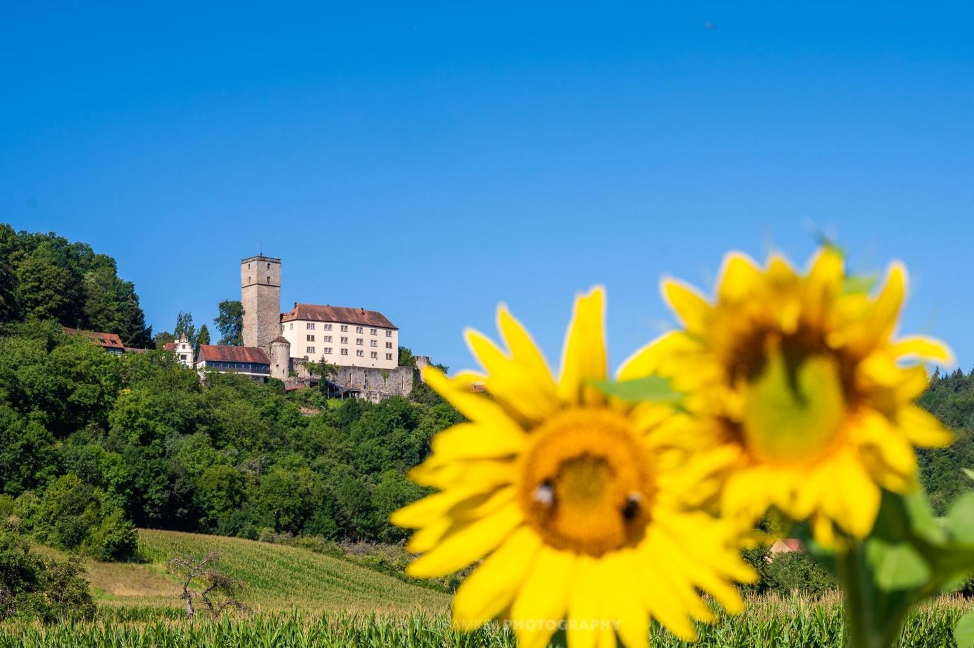 Villa Wohnen Auf Der Ritterburg Haßmersheim Esterno foto